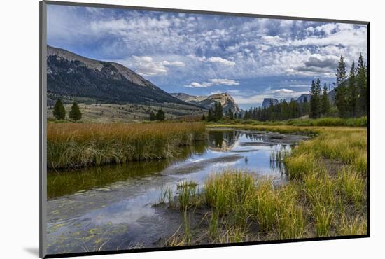 USA, Wyoming. White Rock Mountain and Squaretop Peak above Green River wetland-Howie Garber-Mounted Photographic Print