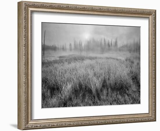 USA, Wyoming, Yellowstone, Cold Foggy Morning-John Ford-Framed Photographic Print