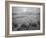 USA, Wyoming, Yellowstone, Cold Foggy Morning-John Ford-Framed Photographic Print