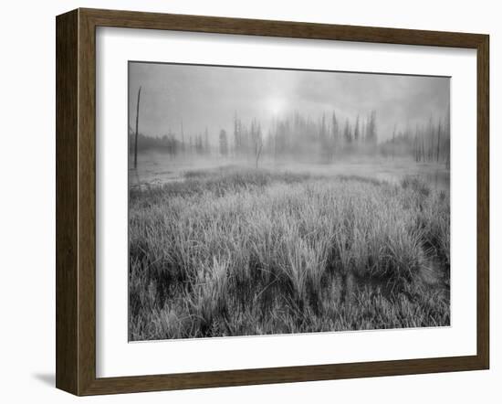 USA, Wyoming, Yellowstone, Cold Foggy Morning-John Ford-Framed Photographic Print