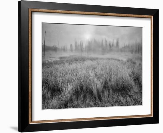 USA, Wyoming, Yellowstone, Cold Foggy Morning-John Ford-Framed Photographic Print
