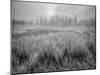 USA, Wyoming, Yellowstone, Cold Foggy Morning-John Ford-Mounted Photographic Print