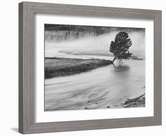 USA, Wyoming, Yellowstone, Firehole River and Tree-John Ford-Framed Photographic Print