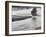 USA, Wyoming, Yellowstone, Firehole River and Tree-John Ford-Framed Photographic Print