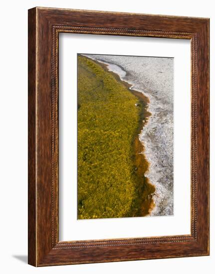 USA, Wyoming, Yellowstone National Park, Biscuit Basin, Sapphire Pool, colorful thermophile river-Cindy Miller Hopkins-Framed Photographic Print