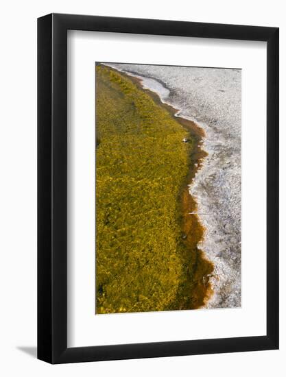 USA, Wyoming, Yellowstone National Park, Biscuit Basin, Sapphire Pool, colorful thermophile river-Cindy Miller Hopkins-Framed Photographic Print