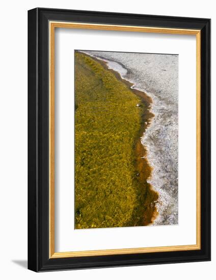 USA, Wyoming, Yellowstone National Park, Biscuit Basin, Sapphire Pool, colorful thermophile river-Cindy Miller Hopkins-Framed Photographic Print