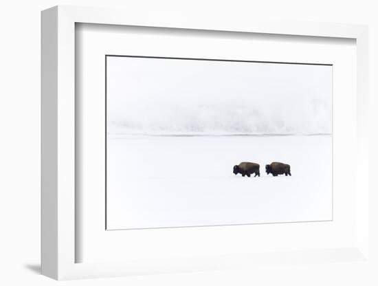 Usa, Wyoming, Yellowstone National Park. Bison moving through the deep snow-Ellen Goff-Framed Photographic Print