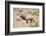 USA, Wyoming, Yellowstone National Park, Bull Elk Bugling in Rabbitbrush Meadow-Elizabeth Boehm-Framed Photographic Print