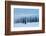 USA, Wyoming, Yellowstone National Park. Winter line of trees.-Cindy Miller Hopkins-Framed Photographic Print