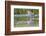 USA, Wyoming, young Great Blue Heron catches a small fish in a pond.-Elizabeth Boehm-Framed Photographic Print