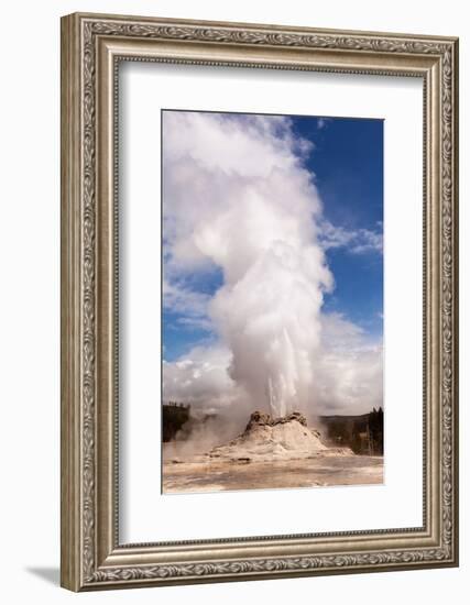 USA, Yellowstone National Park, Castle Geyser-Catharina Lux-Framed Photographic Print