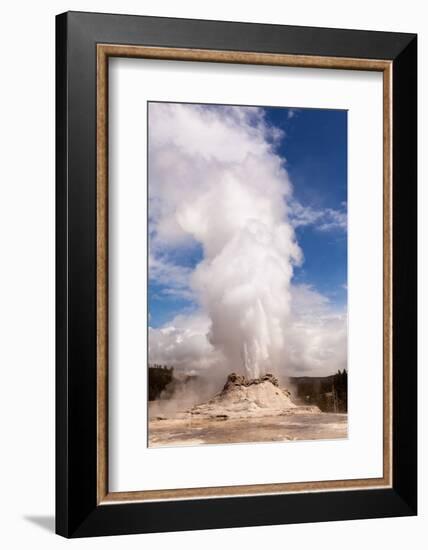 USA, Yellowstone National Park, Castle Geyser-Catharina Lux-Framed Photographic Print