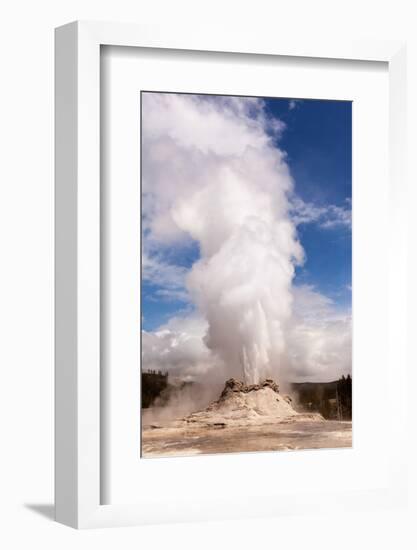 USA, Yellowstone National Park, Castle Geyser-Catharina Lux-Framed Photographic Print