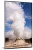 USA, Yellowstone National Park, Castle Geyser-Catharina Lux-Mounted Photographic Print