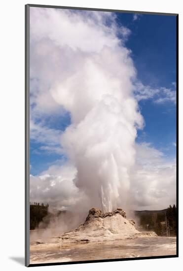 USA, Yellowstone National Park, Castle Geyser-Catharina Lux-Mounted Photographic Print