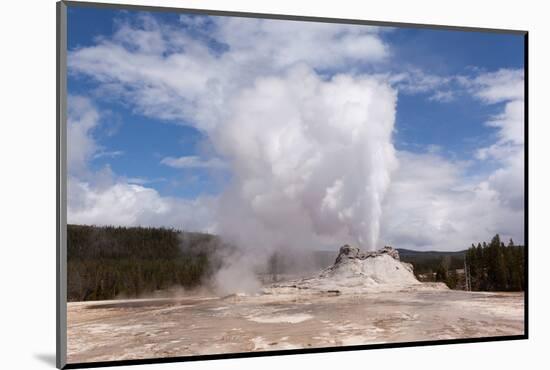 USA, Yellowstone National Park, Castle Geyser-Catharina Lux-Mounted Photographic Print