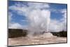 USA, Yellowstone National Park, Castle Geyser-Catharina Lux-Mounted Photographic Print