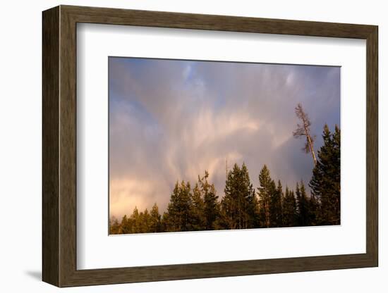 USA, Yellowstone National Park, Cloud-Catharina Lux-Framed Photographic Print