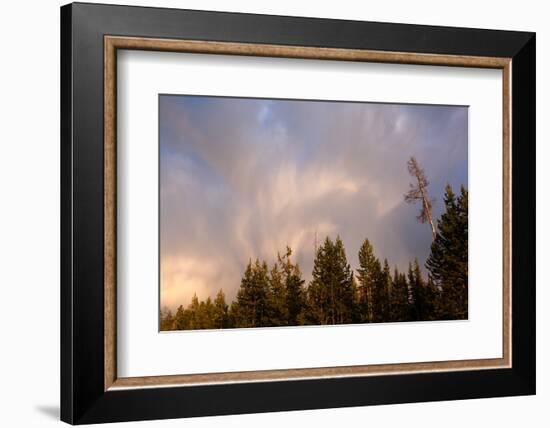 USA, Yellowstone National Park, Cloud-Catharina Lux-Framed Photographic Print