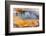 USA, Yellowstone National Park, Midway Geyser Basin-Catharina Lux-Framed Photographic Print