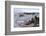 USA, Yellowstone National Park, Norris Geyser Basin-Catharina Lux-Framed Photographic Print