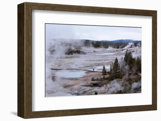 USA, Yellowstone National Park, Norris Geyser Basin-Catharina Lux-Framed Photographic Print