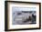 USA, Yellowstone National Park, Norris Geyser Basin-Catharina Lux-Framed Photographic Print