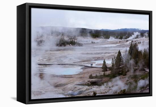 USA, Yellowstone National Park, Norris Geyser Basin-Catharina Lux-Framed Premier Image Canvas