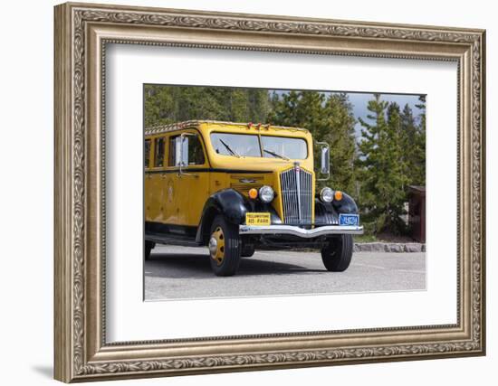 USA, Yellowstone National Park, Park Vehicle-Catharina Lux-Framed Photographic Print