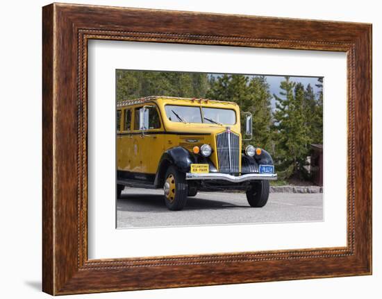 USA, Yellowstone National Park, Park Vehicle-Catharina Lux-Framed Photographic Print