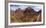 USA, Zion National Park, Panorama, Mountain Pass-Catharina Lux-Framed Photographic Print