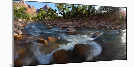 USA, Zion National Park, Panorama, Watchman and Virgin River-Catharina Lux-Mounted Photographic Print