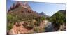 USA, Zion National Park, Panorama, Watchman and Virgin River-Catharina Lux-Mounted Photographic Print