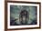 Usaf Bomber-Stephen Arens-Framed Photographic Print