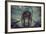 Usaf Bomber-Stephen Arens-Framed Photographic Print