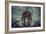 Usaf Bomber-Stephen Arens-Framed Photographic Print