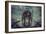 Usaf Bomber-Stephen Arens-Framed Photographic Print