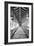 USC Hall_B&W-Chris Moyer-Framed Photographic Print