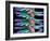 Used Interdental Brush, SEM-Steve Gschmeissner-Framed Photographic Print