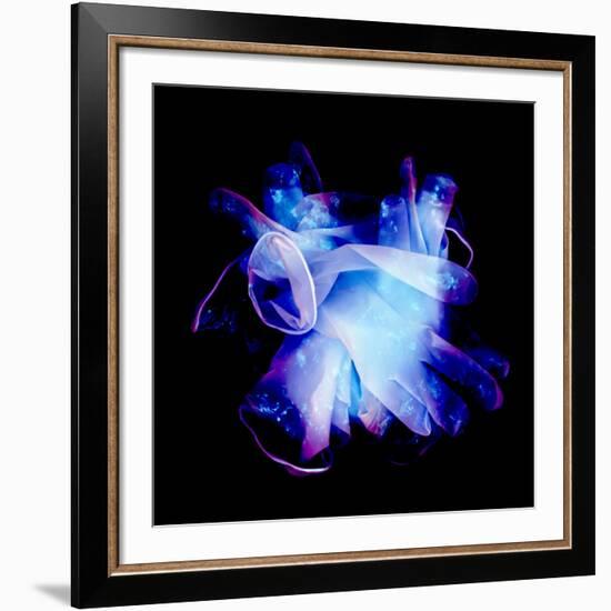 Used Surgical Gloves, Negative Image-Kevin Curtis-Framed Photographic Print