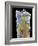 Used Toothbrush Bristle, SEM-Steve Gschmeissner-Framed Photographic Print