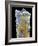 Used Toothbrush Bristle, SEM-Steve Gschmeissner-Framed Photographic Print