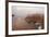 Usedom, Achterwasser, Reed, Frost-Catharina Lux-Framed Photographic Print