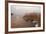 Usedom, Achterwasser, Reed, Frost-Catharina Lux-Framed Photographic Print