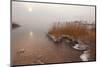 Usedom, Achterwasser, Reed, Frost-Catharina Lux-Mounted Photographic Print