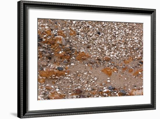 Usedom, Baltic Sea Beach, Escarpment with Sediment Layers-Catharina Lux-Framed Photographic Print