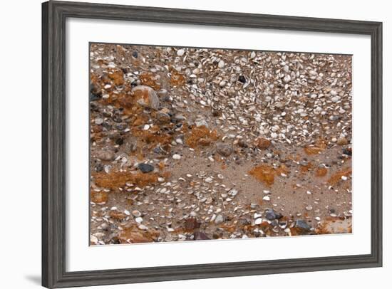 Usedom, Baltic Sea Beach, Escarpment with Sediment Layers-Catharina Lux-Framed Photographic Print