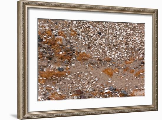 Usedom, Baltic Sea Beach, Escarpment with Sediment Layers-Catharina Lux-Framed Photographic Print