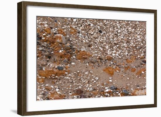 Usedom, Baltic Sea Beach, Escarpment with Sediment Layers-Catharina Lux-Framed Photographic Print